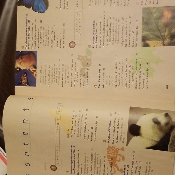 Diversity of life - Picture 6 of 11